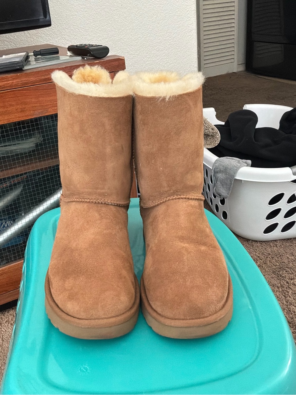 UGG Women's Classic Short Boot - Chestnut Suede
